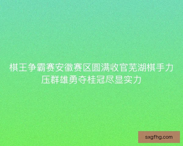 棋王争霸赛安徽赛区圆满收官芜湖棋手力压群雄勇夺桂冠尽显实力
