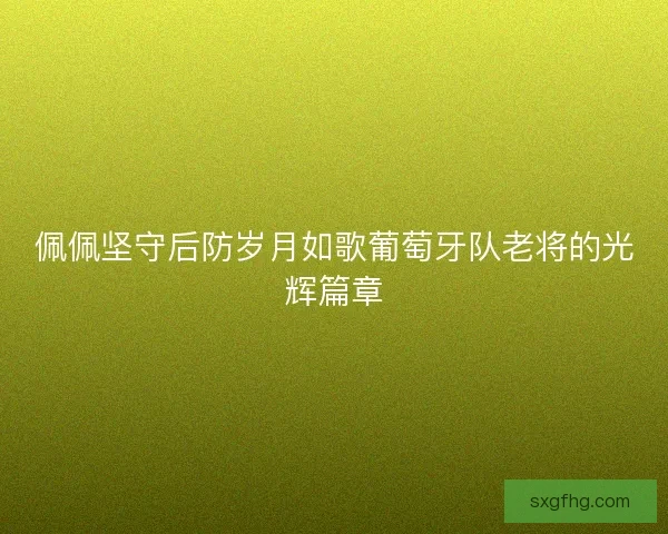佩佩坚守后防岁月如歌葡萄牙队老将的光辉篇章
