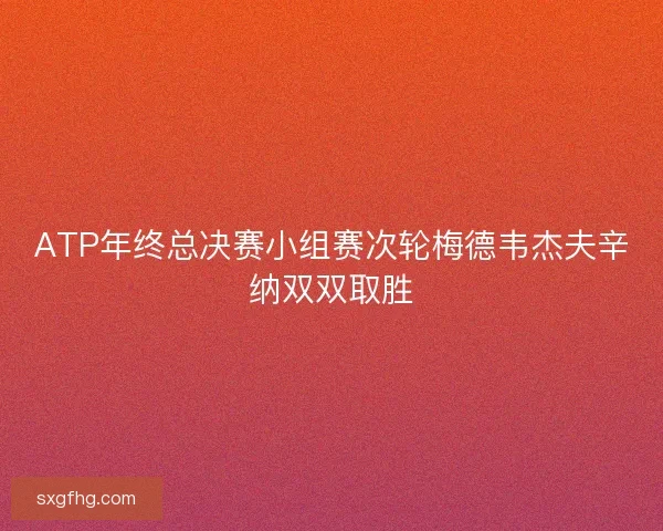 ATP年终总决赛小组赛次轮梅德韦杰夫辛纳双双取胜