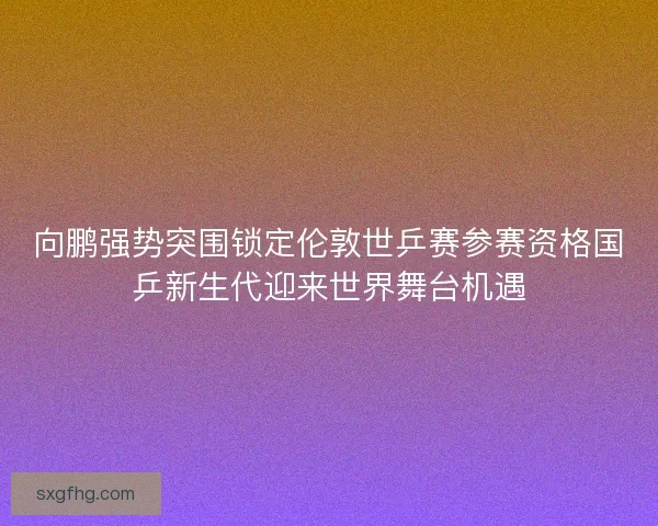 向鹏强势突围锁定伦敦世乒赛参赛资格国乒新生代迎来世界舞台机遇